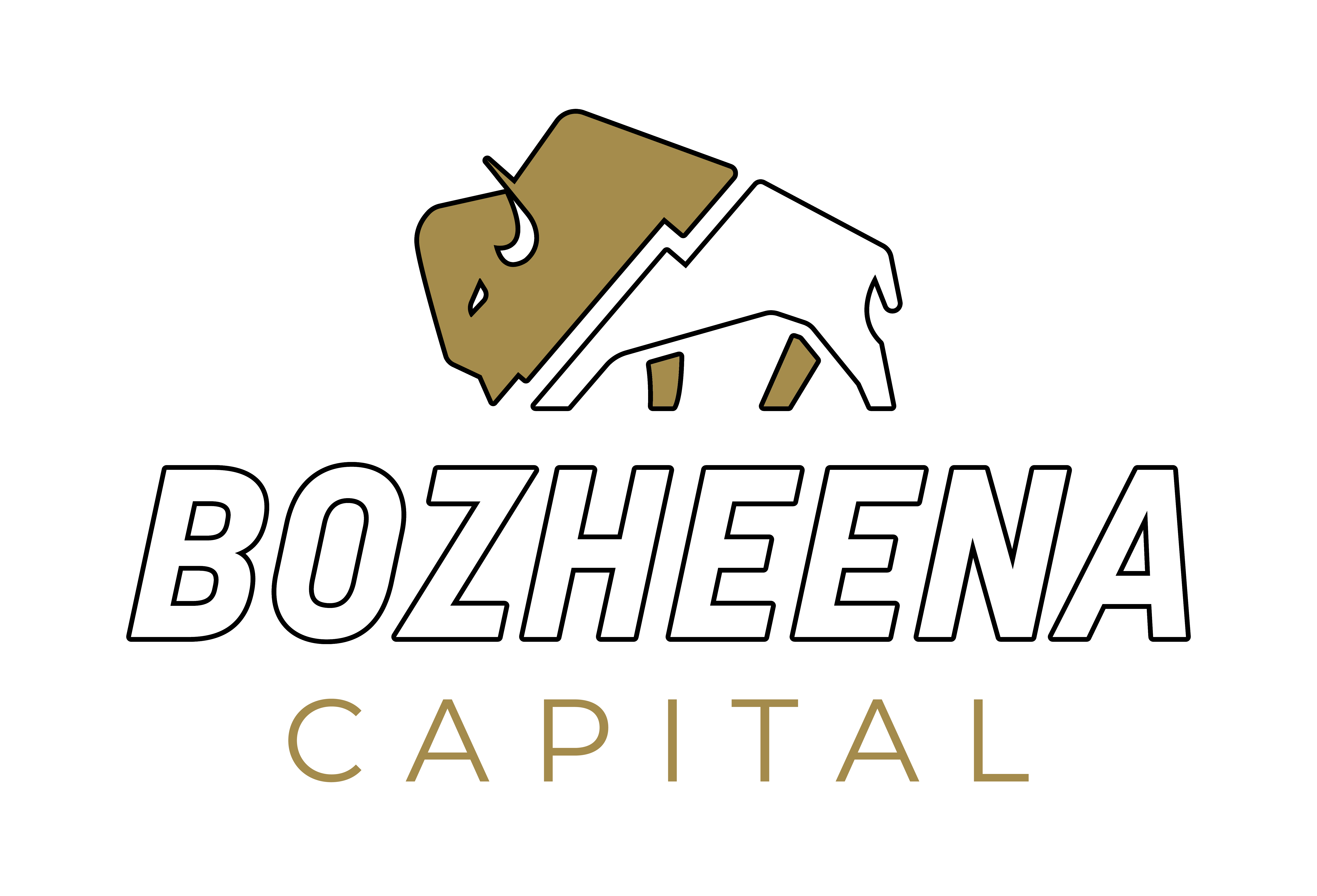 Bozheena Capital logo